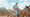 Texas Season Trailer